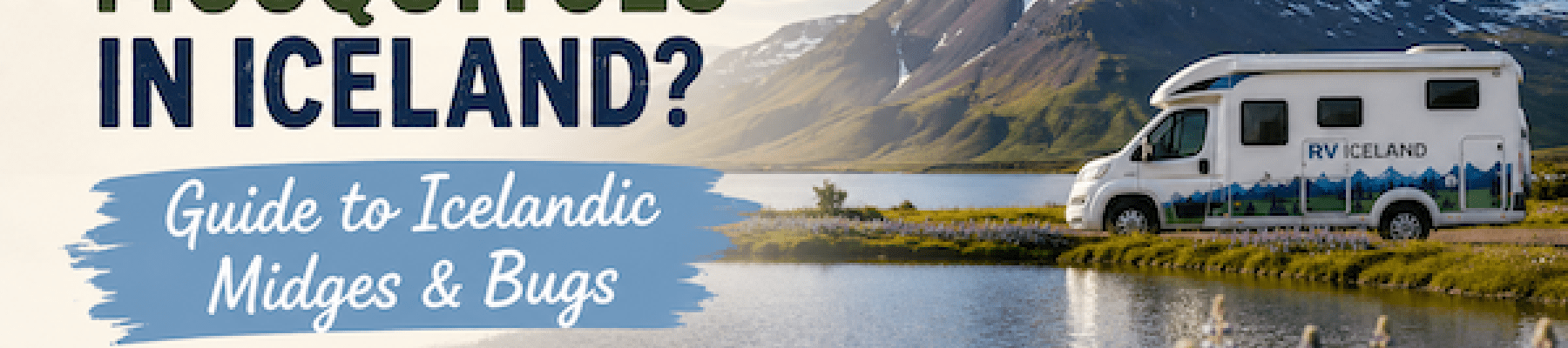Are There Mosquitoes in Iceland? Guide to Icelandic Midges & Bug