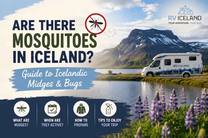 Guide to Icelandic Midges & Bug