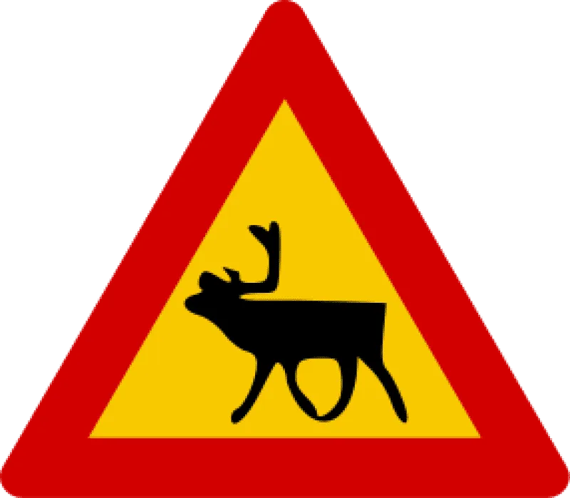 Raindeer warning sign in Iceland